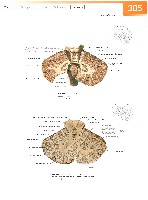 Sobotta Atlas of Human Anatomy  Head,Neck,Upper Limb Volume1 2006, page 312